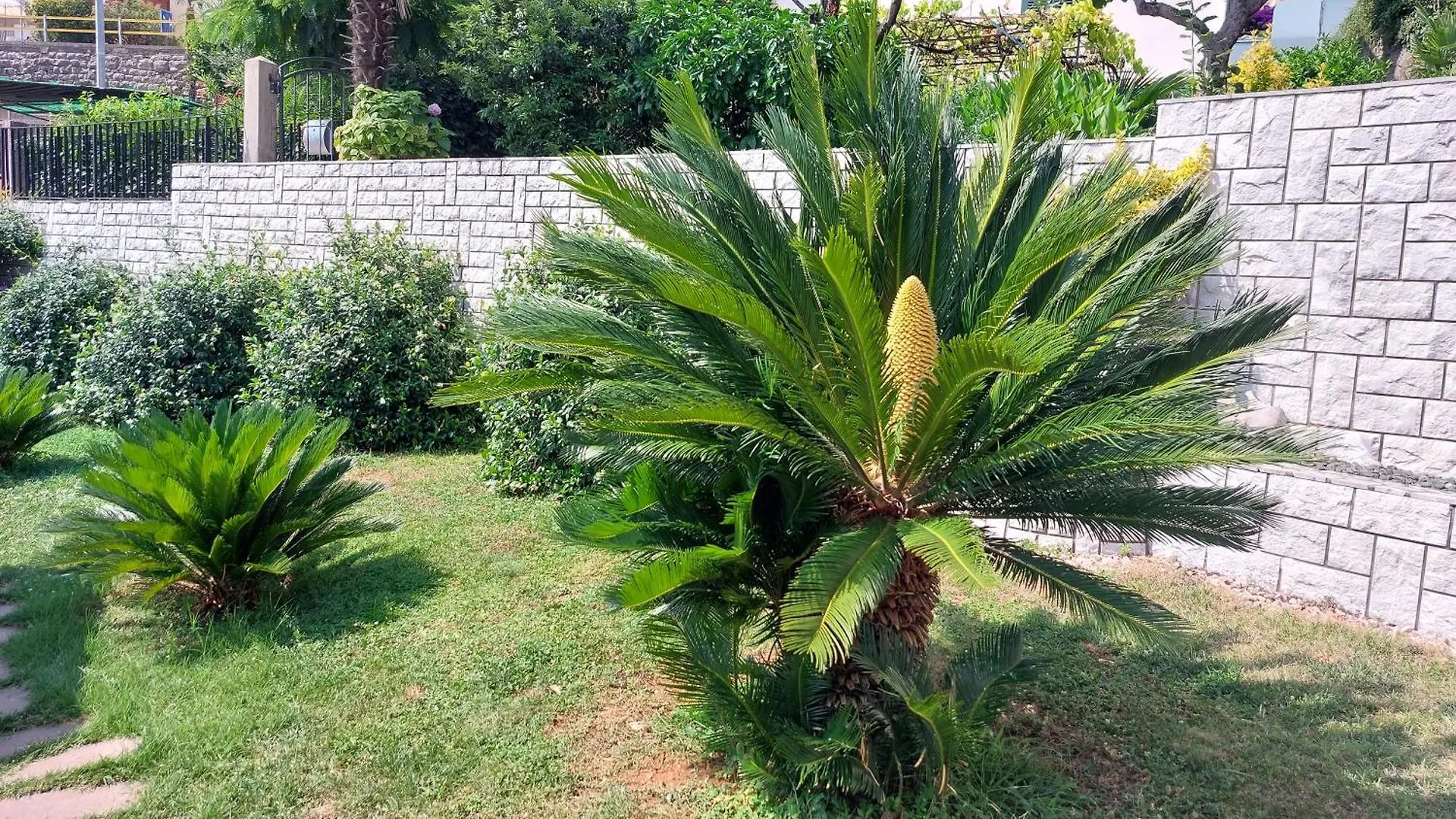 Apartment Ferienwohnung Opatija Centar